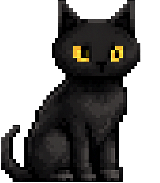 Black Cat